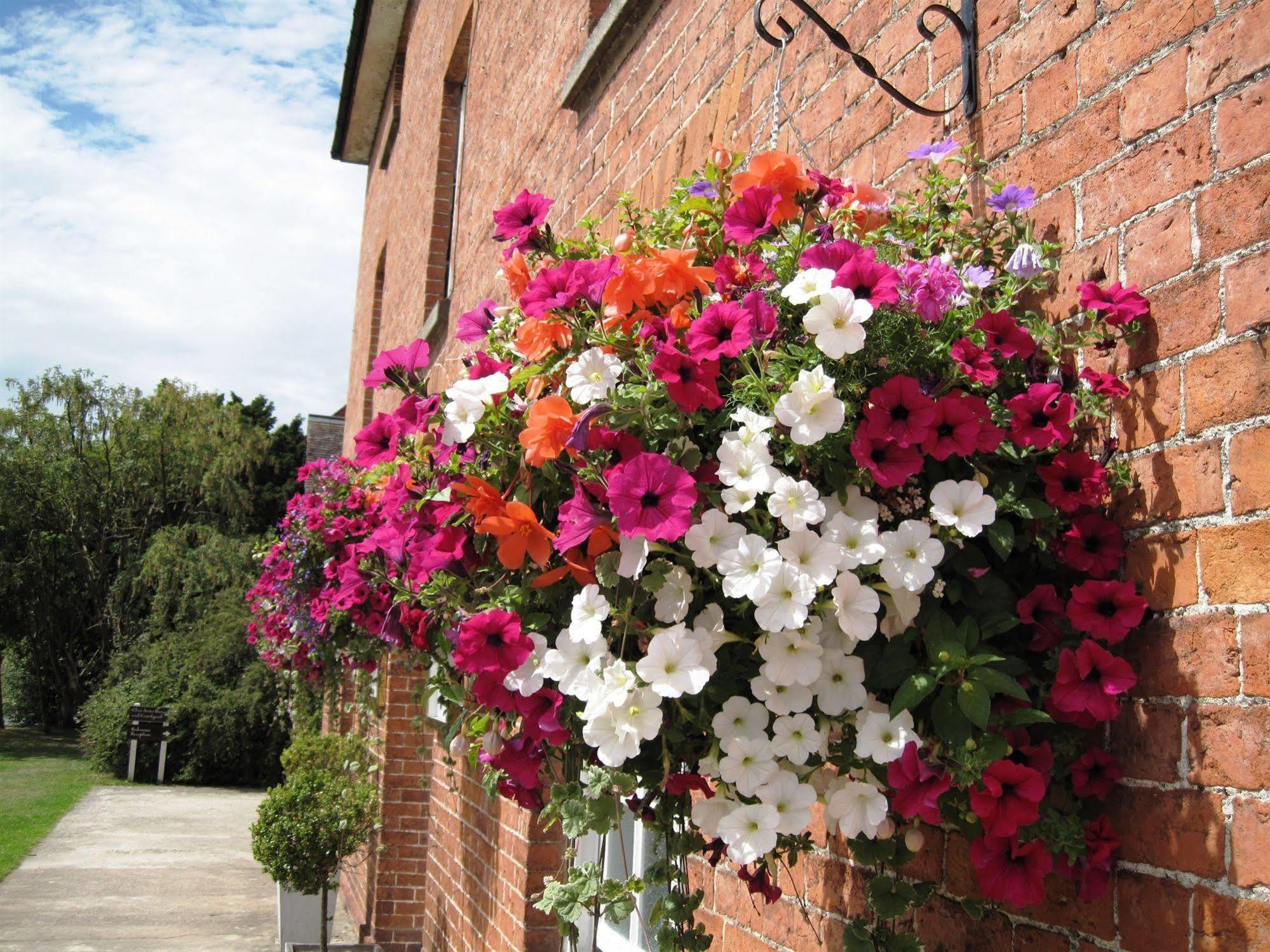 The Clive Arms Hotel Ludlow Exterior photo